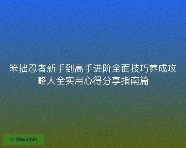 笨拙忍者新手到高手进阶全面技巧养成攻略大全实用心得分享指南篇